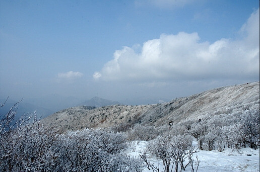 ここが韓国では一番寒いと言われる真冬の江原道 テベク山