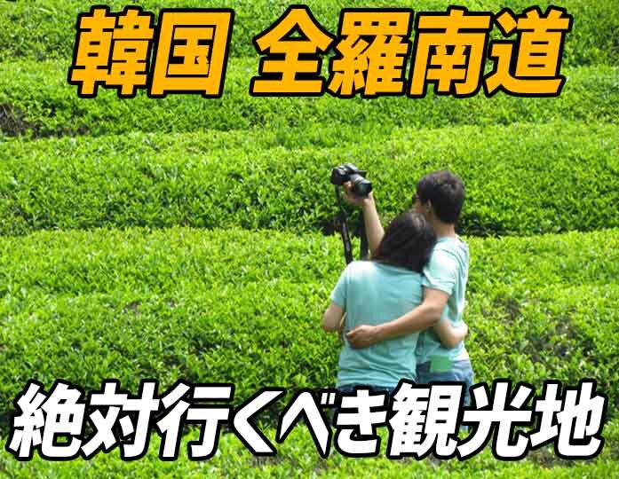 【韓国旅行 おすすめスポット】全羅南道 寶城(보성: ボソン)と潭陽(담양: ダミャン)