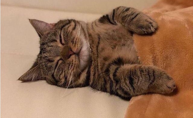 따뜻하다, 포근하다 (暖かい)の意味の違いとは？使い分けを例文で解説