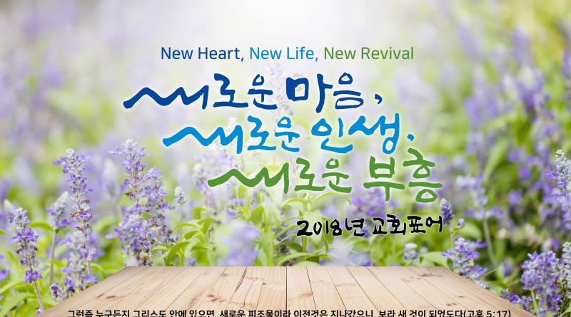 새롭다, 새로운, 새の意味の違いと使い分け