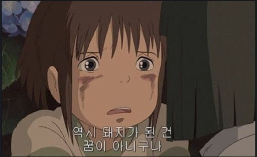 역시(ヨクシ)の意味と使い方