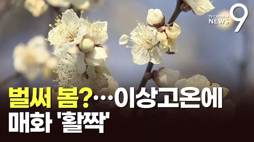 「もう春だ」韓国語の3つの表現を比較