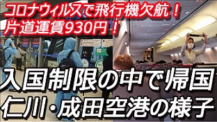 『코로나 바이러스로 비행기 결항』(コロナウィルスで飛行機欠航)
