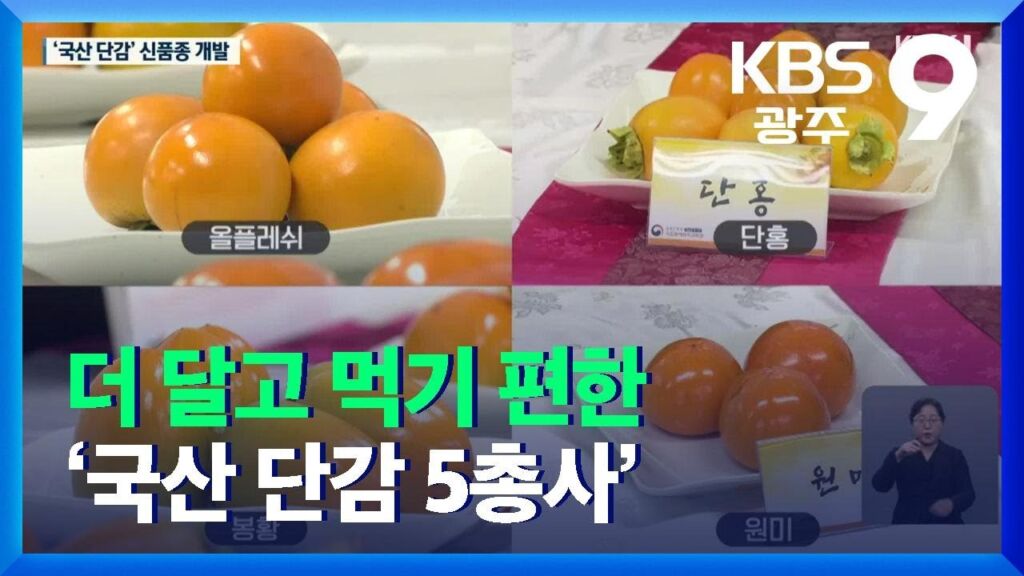 기 편하다の意味