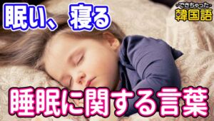 「眠い、寝る」韓国語で？졸리다, 잠/늦잠/낮잠을 자다 睡眠に関する言葉の意味と違い｜音声・PDF付き