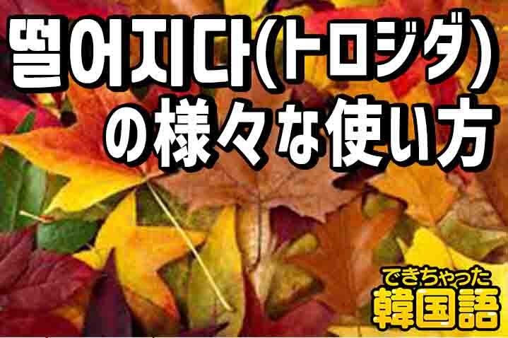 떨어지다の意味と様々な使い方を例文で解説