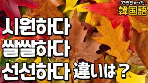 涼しい 韓国語で？시원하다, 쌀쌀하다, 선선하다の違いと使い分け