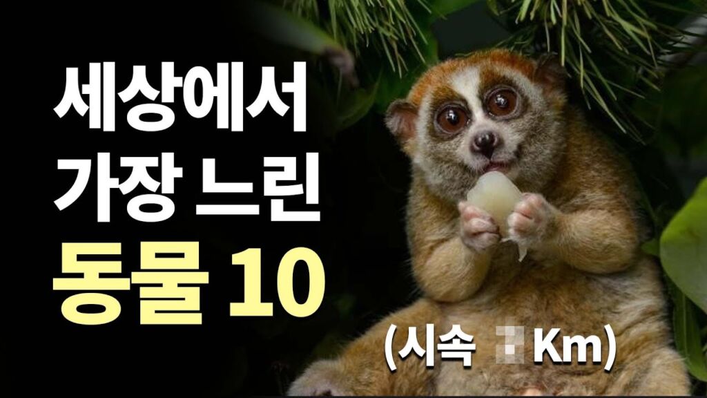 느리다の使い方と例文