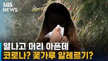 '花粉症'は韓国語で何?꽃가루 알레르기, 화분증意味と使い方を例文で解説