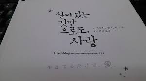 만, 뿐の様々な文法