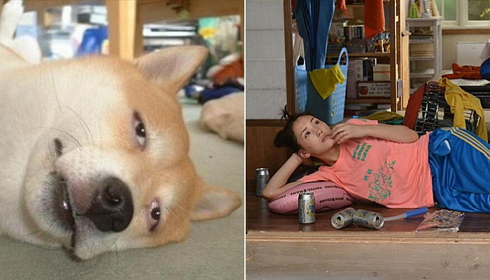 「面倒くさい」韓国語で3つ？귀찮다, 번거롭다, 성가시다の意味の違いと使い分け