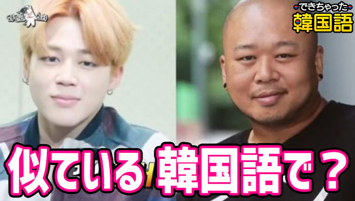 「似ている, 同じ」韓国語で？닮다, 비슷하다, 같다, 똑같다の意味の違いと使い分け