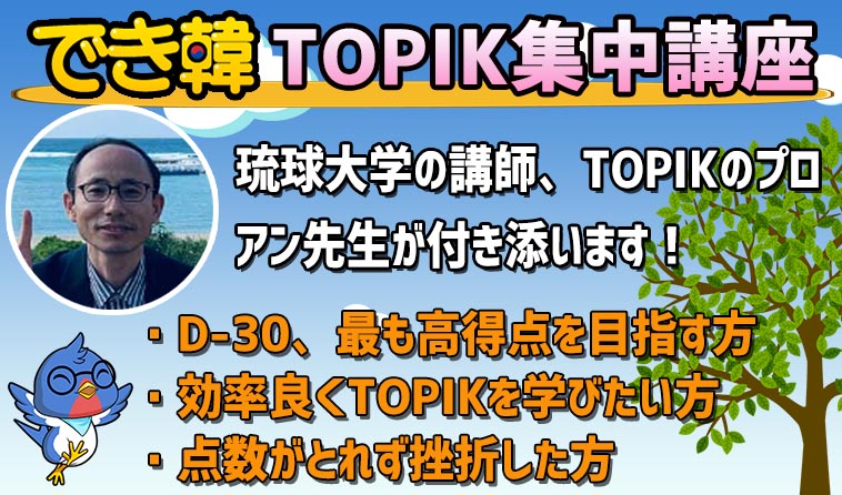 高得点と合格を目指せ！オンラインTOPIK対策短期講座