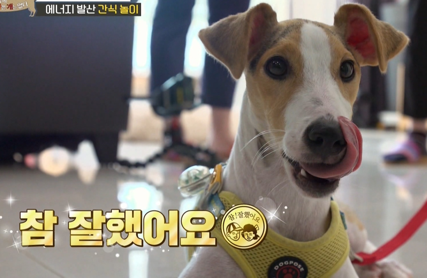 同音異義語、頻出単語 따르다