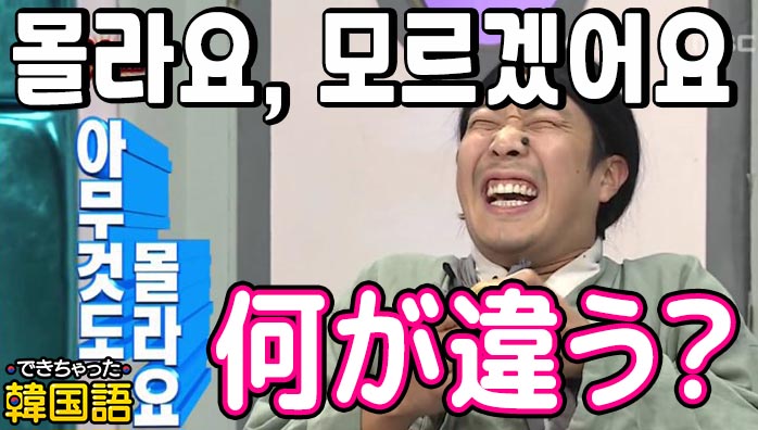 「分かりません」韓国語で？몰라요, 모르겠어요 意味の違いを例文で解説