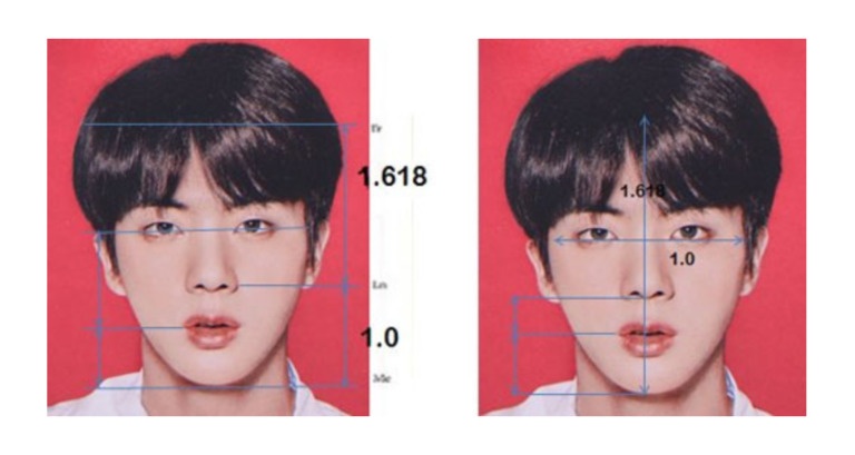 最も美しく見える”黄金比率”顔のジン（Photo Via ZOOM）