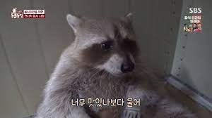 맛있나 봐とは？