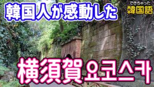 韓国人が感動した日本の観光地 横須賀｜東京のおすすめ日帰りスポット