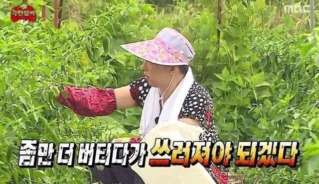 버티다（ポティダ）とは？