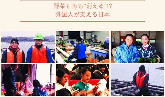 韓国の若者が日本に住みたい5つの理由と在留韓国人のリアルなアドバイス