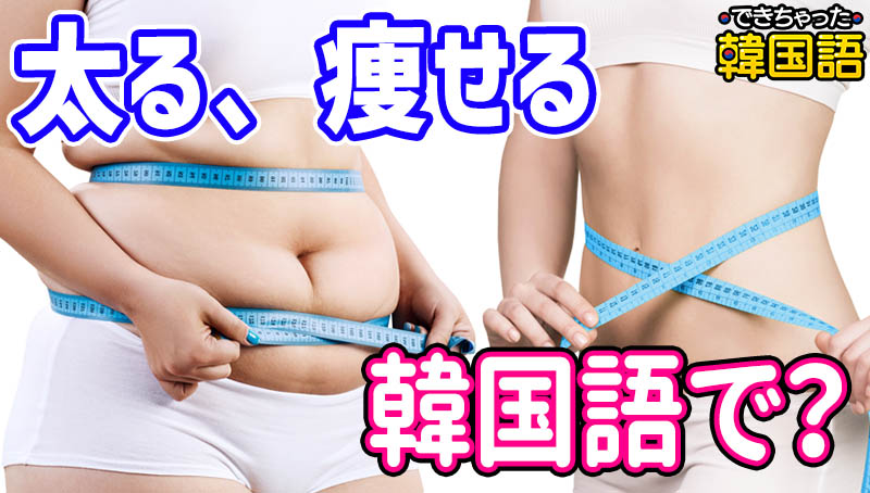 「太る、痩せる」韓国語で？살찌다, 살빠지다, 뚱뚱하다, 날씬하다, 마르다の使い分け