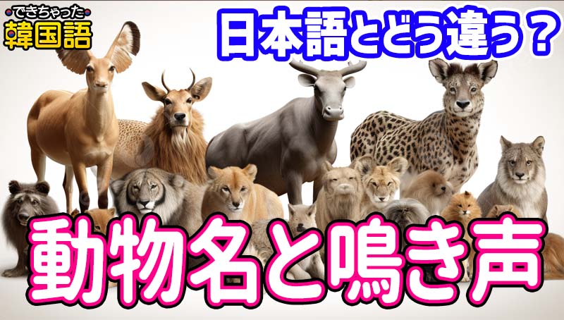日本語と全然違う？韓国語で動物の名前と鳴き声オノマトペ21選｜動画付き