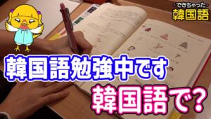 韓国語勉強中です、勉強しています 韓国語で？공부해요, 공부하고 있어요, 공부중이에요の意味の違い