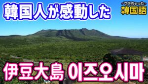 韓国人が感動した日本の観光地 伊豆大島1泊2日！三原産トレッキング、ウラ砂漠と温泉