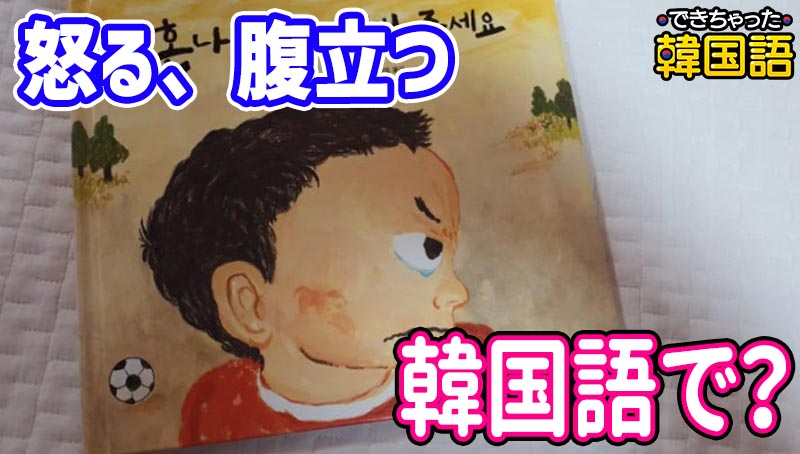 「怒る、腹立つ」韓国語で？화내다, 화나다, 혼내다, 혼나다の意味の違いと使い方、怒りっぽい韓国人の気質も