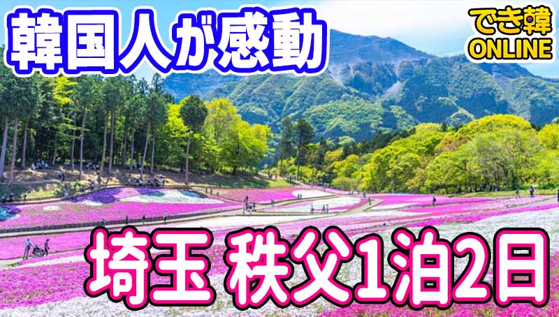 【東京近郊旅行 おすすめ】埼玉秩父温泉と羊山公園、長瀞ライン下り、宝登山、1泊2日日程