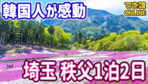 【東京近郊旅行 おすすめ】埼玉秩父温泉と羊山公園、長瀞ライン下り、宝登山、1泊2日日程