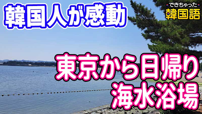 東京から1時間半？日帰りで楽しめる海水浴場 横浜海の公園、八景島
