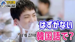 「はずがない、わけがない」韓国語で？을 리가 없다の意味と使い方, 그럴 리 없다, 어쩔 수 없다と類似表現も解説