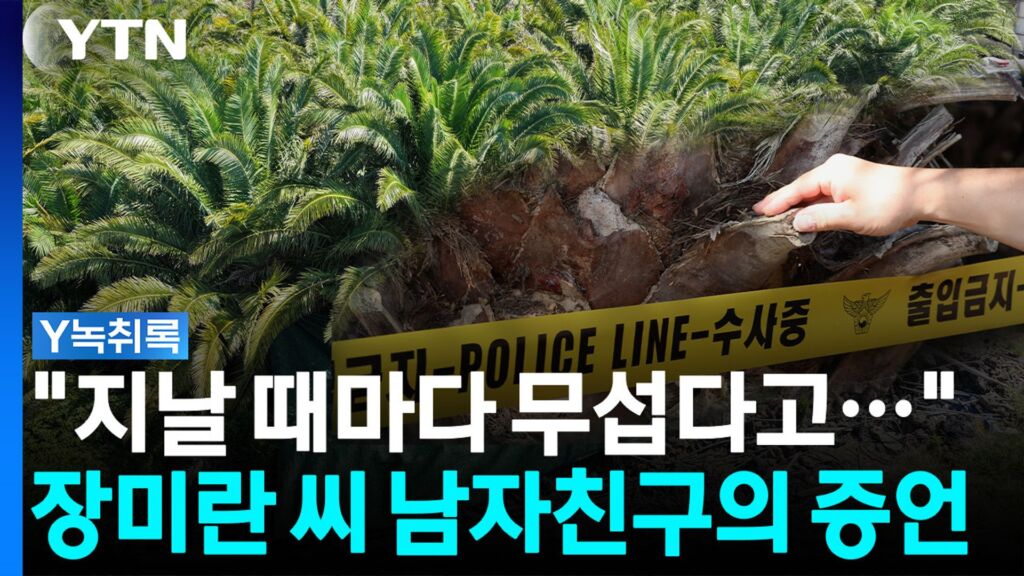 마다, 을 때마다の意味と使い方