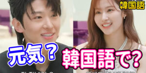 お元気ですか 韓国語で？丁寧語からタメ口まで10つの必須表現とフレーズ｜音声付き